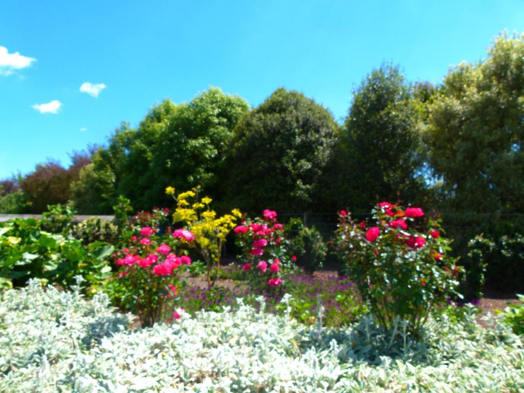 Hadleigh Boutique Lodge Tamahere Exteriér fotografie