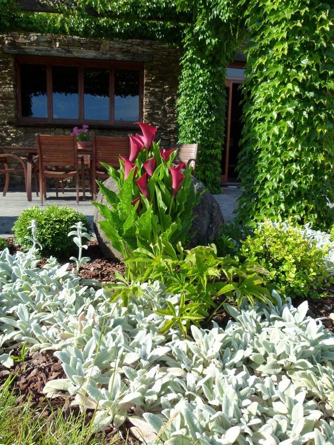 Hadleigh Boutique Lodge Tamahere Exteriér fotografie