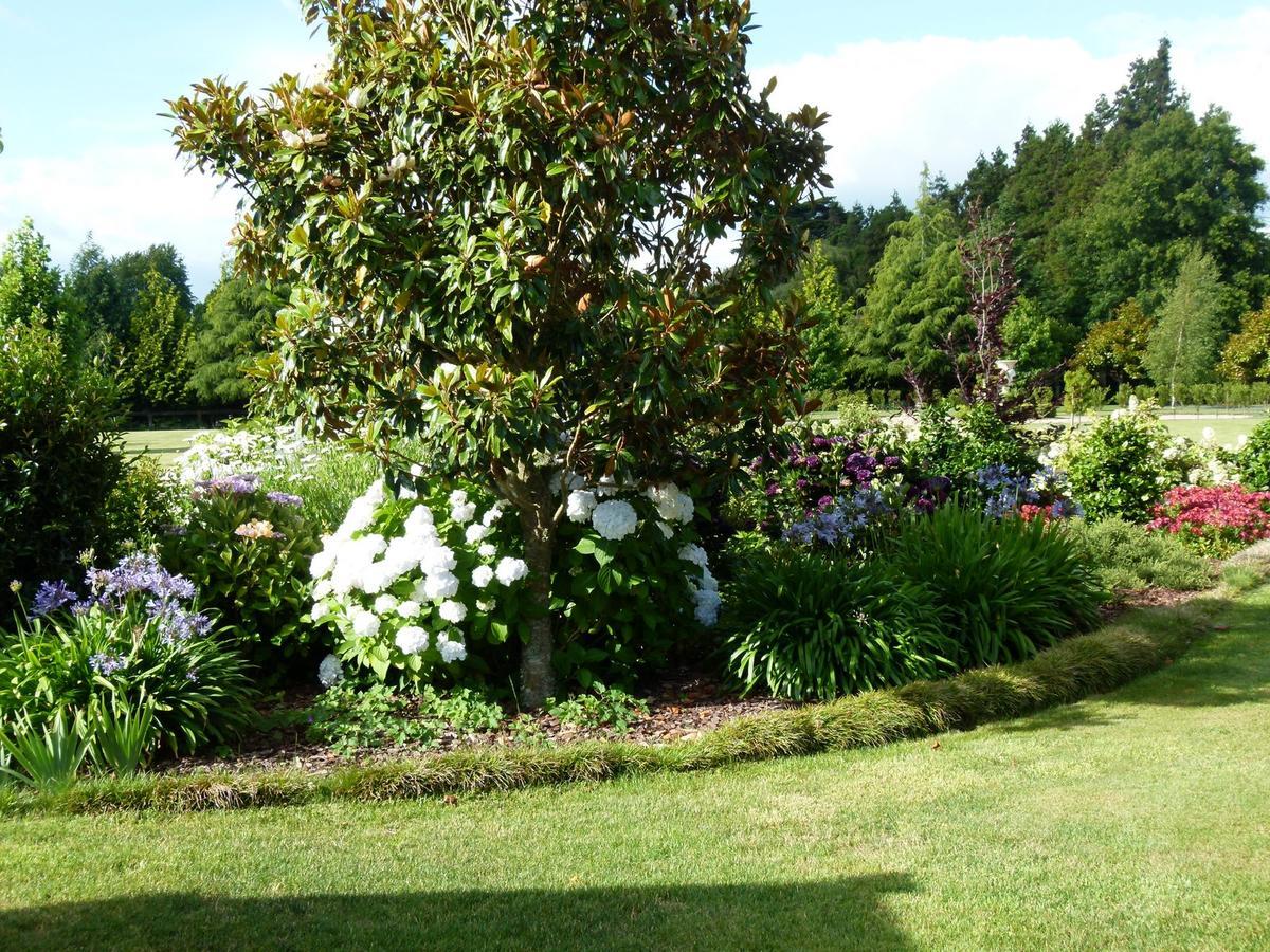 Hadleigh Boutique Lodge Tamahere Exteriér fotografie